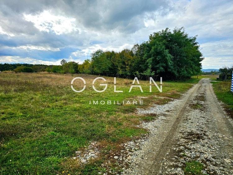 SUPER PRET! Teren 2400 mp Valea Avrigului SIBIU - 2