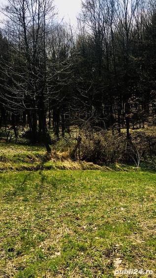 Vand teren intravilan - 2