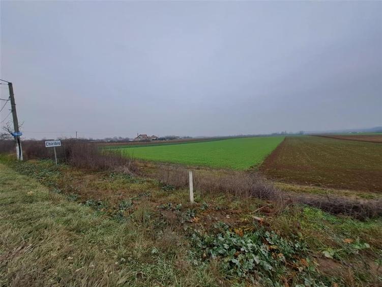 RECO teren Chiribis - 5