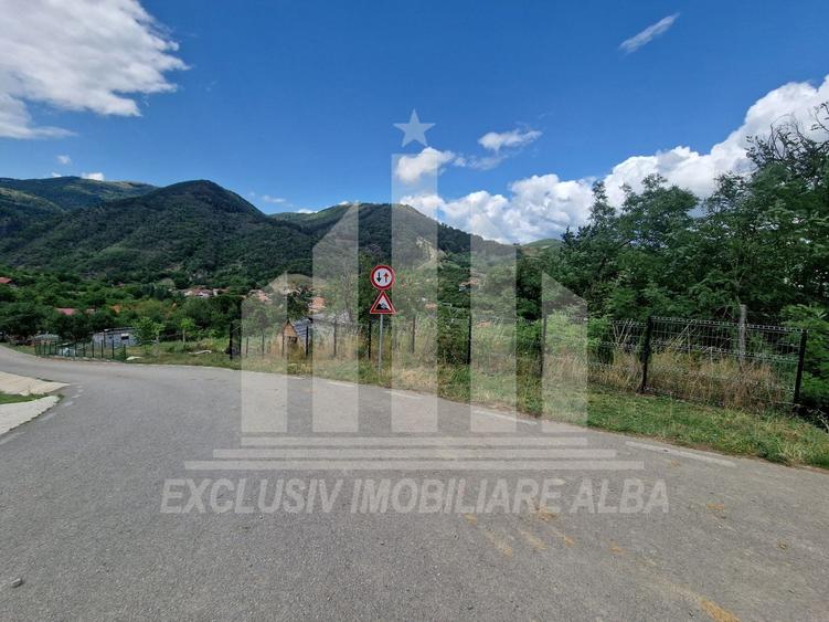 Cabana A-frame | 60 mp | 3000 mp teren | Ampoita - 4