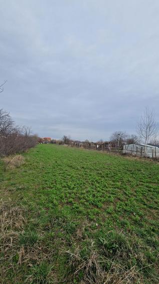 Casa batraneasca 60m.p. caramida si teren 2185m.p. Stoicanesti-Olt - 1