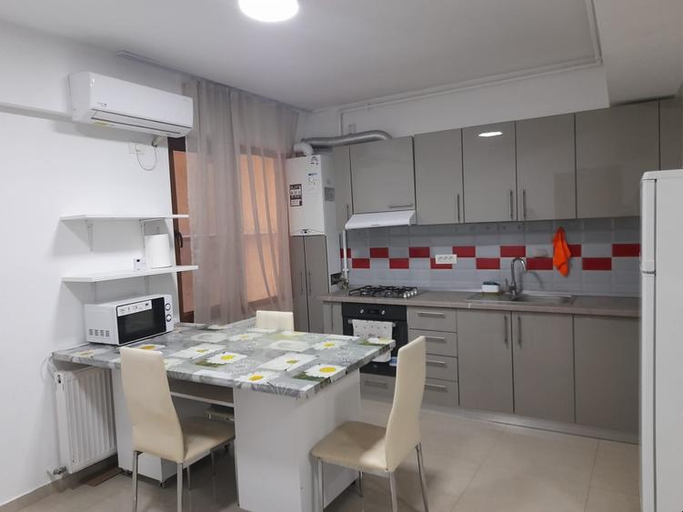 Apartament  cu terasă proprie  Lia Manoliu birou/locuinta - 2