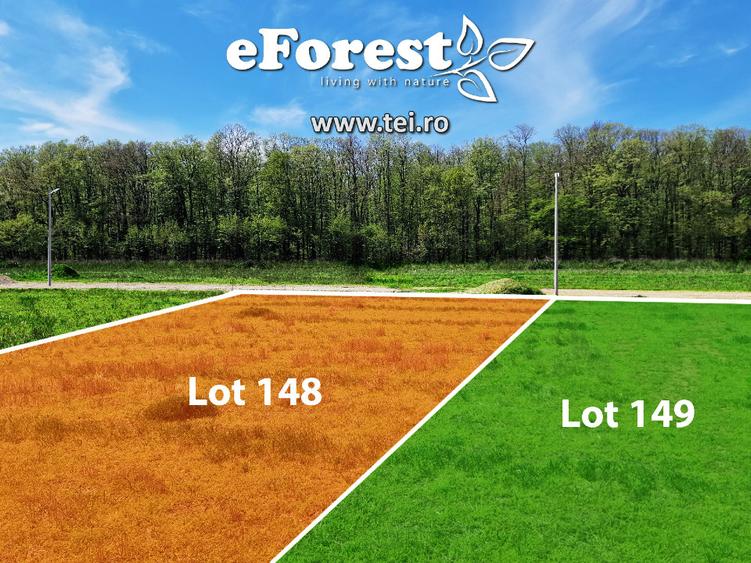 Loturi de casă 720 - 900 mp, langă Pădure în eForest, acces asfaltat - 9