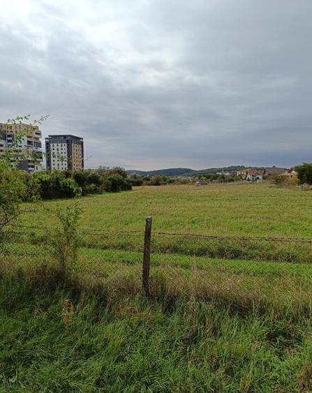 Teren intravilan 8000 mp , DR.D.Vechi - 5