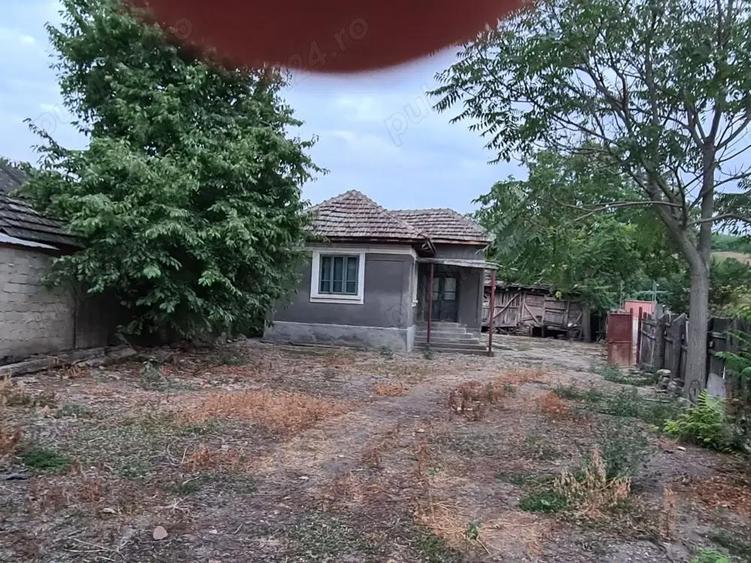 Vand casa in Comuna Branistea, jud Mehedin?i - 4