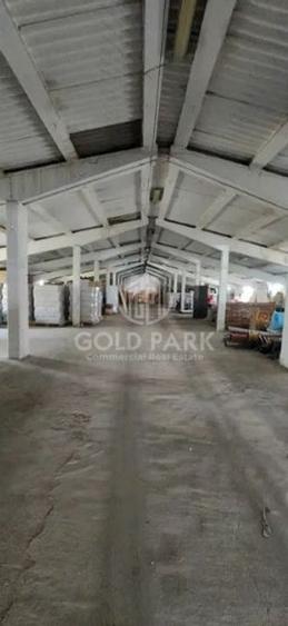 Spatiu Industrial - Zona Autostrazii A3 - Curte / Parcari - 4