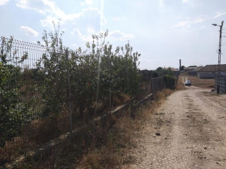 Poiana- str. Cerealelor, teren intravilan curti constructii 3417 mp de vanzare - 3