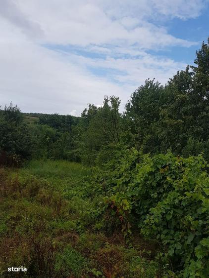 Teren de vanzare in Bucium, 1000mp, acces asfaltat - 2