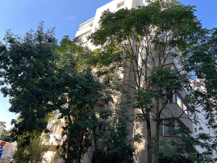 Apartament 2 camere, Piata Victoriei, inchiriat, pretabil investitie Apartament 2 camere, Piata Victoriei, inchiriat, pretabil investitie