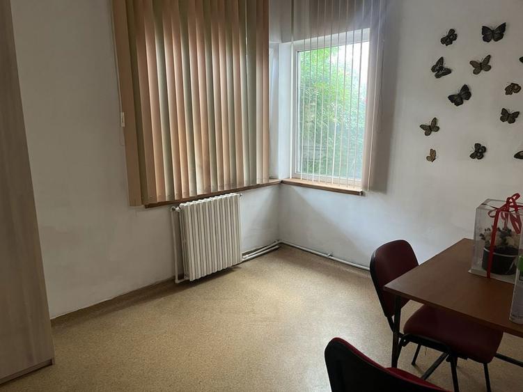 Apartament Ultracentral Parter Vila - 3