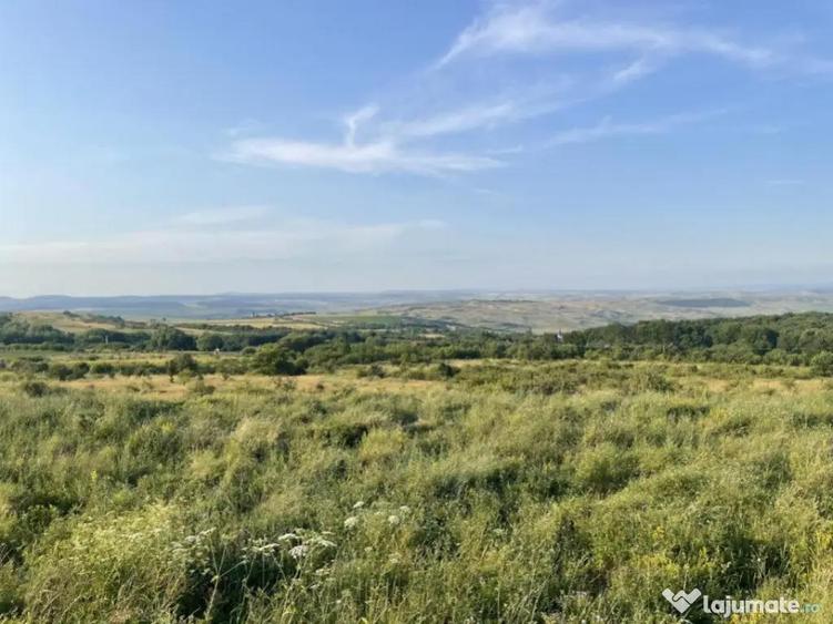 Teren intravilan, 2877 mp, zona Vararea - 1