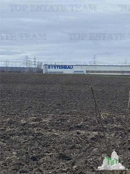 Teren Extravilan 10.000 mp in Prahova - 1