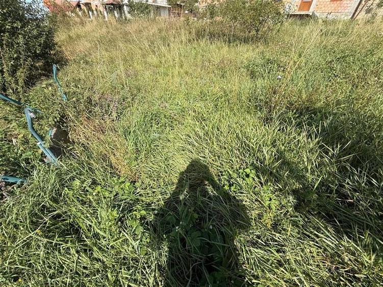 Casa individuala cu 2 camere si 495 mp teren in Sura Mare - 8