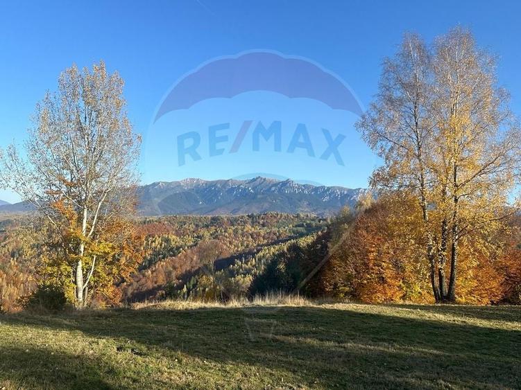 Oportunitate de investiție ! Teren de vis în Pestera - 125.370 mp - 22