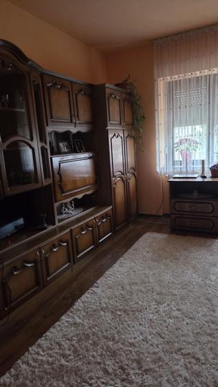 Casa familiala de vanzare in Balc - 1