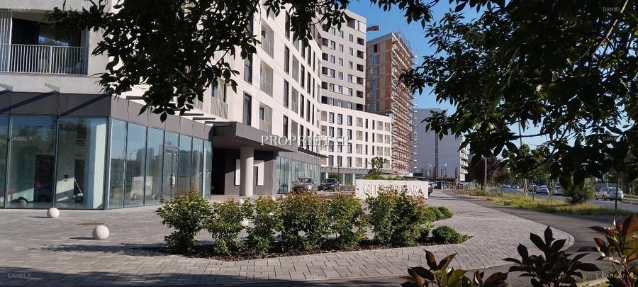 City of Mara Avenue / 2 camere-Ansablu Nou / Central - 15