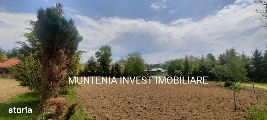 Proprietate de vanzare tip ferma, teren 28150 mp. Balilesti, Arges - 1
