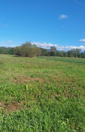 TEREN INTRAVILAN\699 mp, 45€ mp\ CARANSEBEȘ\ ZONA TEIUȘ - 4