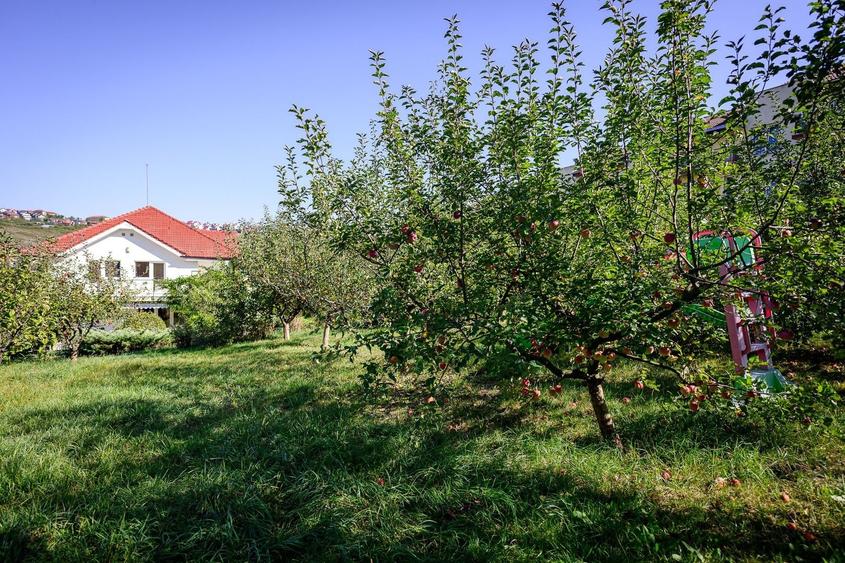 CASA Individuala ELEGANTA 300MP Teren 2150MP CAMPULUI - 14