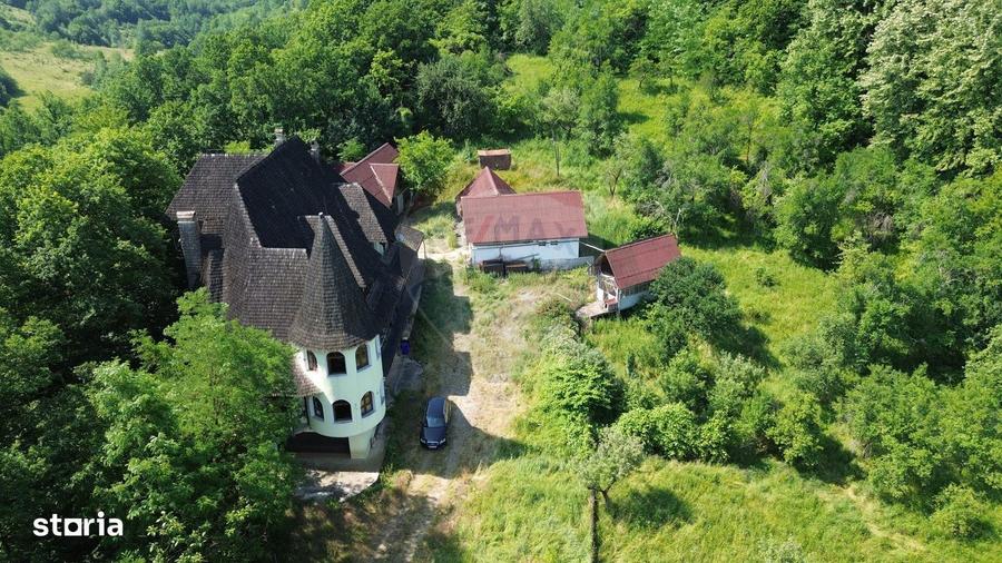 Castel De Vanzare In Maramures - 3