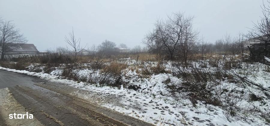 Exclusivitate MAG Invest Teren 2300 mp Vanatori, ideal investitie - 1