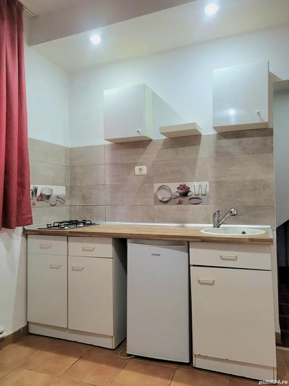 inchiriez ap 1 camera + dormitor la vila - 6