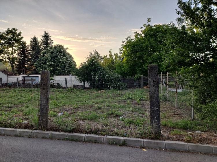 Teren Straulesti 500mp - 11