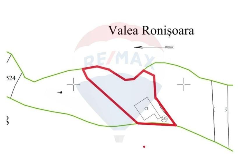 Afacere la cheie în creșterea porcinelor – Rona de Jos - 1