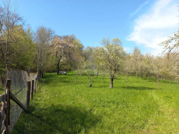 Teren de vanzare - 7