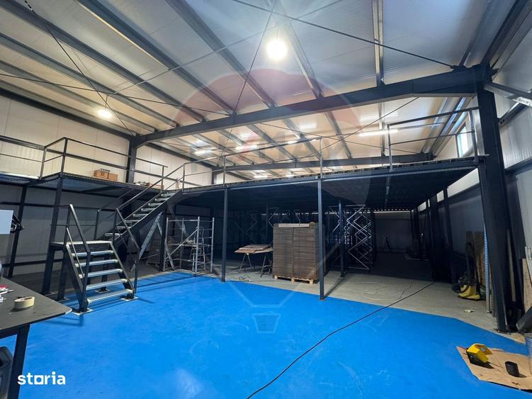 HALA NOUA 500 MP | ACCES TIR | A2 DRUMUL INTRE TARLALE - 4