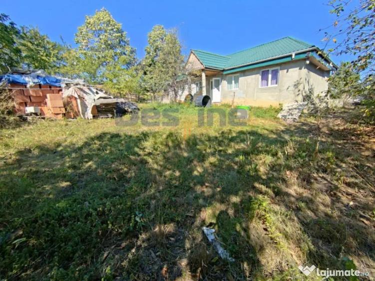 Casa langa PADURE + anexe + 6400 mp TEREN intravilan - s - 1