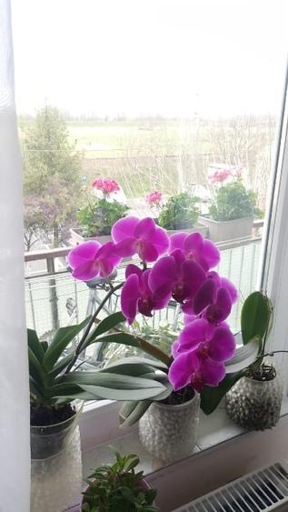 Apartament cu 3 camere de vanzare - 7