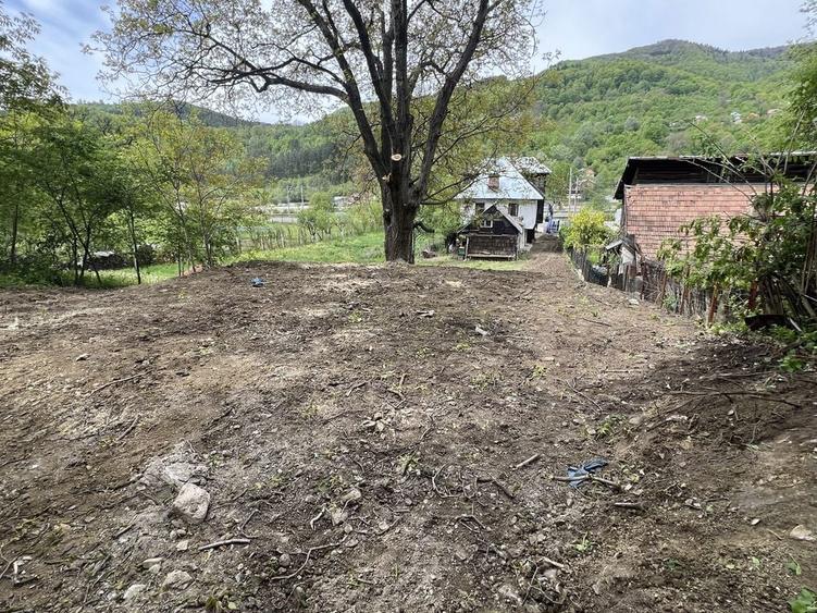 Casa de vacanta cu teren Comarnic - 8