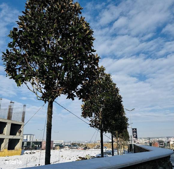 Studio | Paza si Parc| Chiajna | Comision 0% TVA Inclus - 4