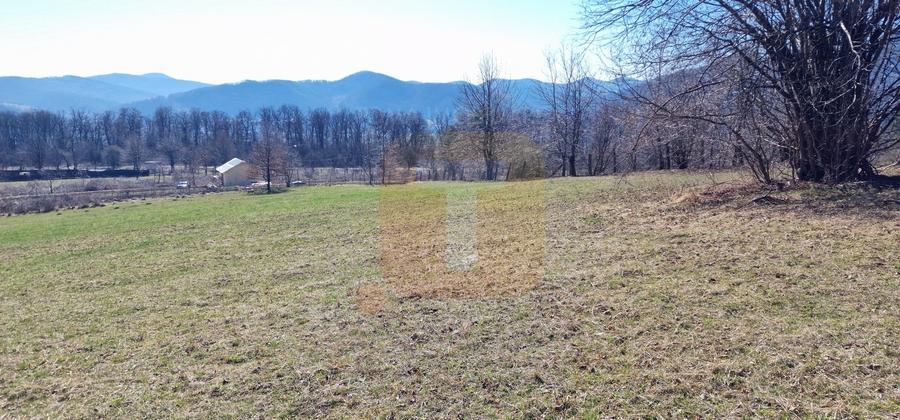 Teren intravilan de 4.000 mp în Bistrița – Alexandru cel Bun - 16