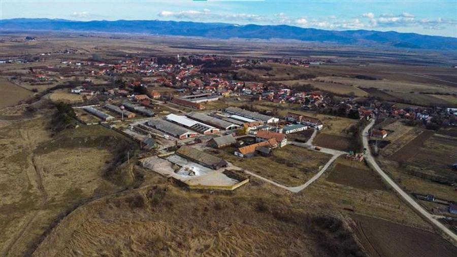 Ansamblu agrozootehnic cu renume,dotat +valoare exceptionala+potential versatil, - 41