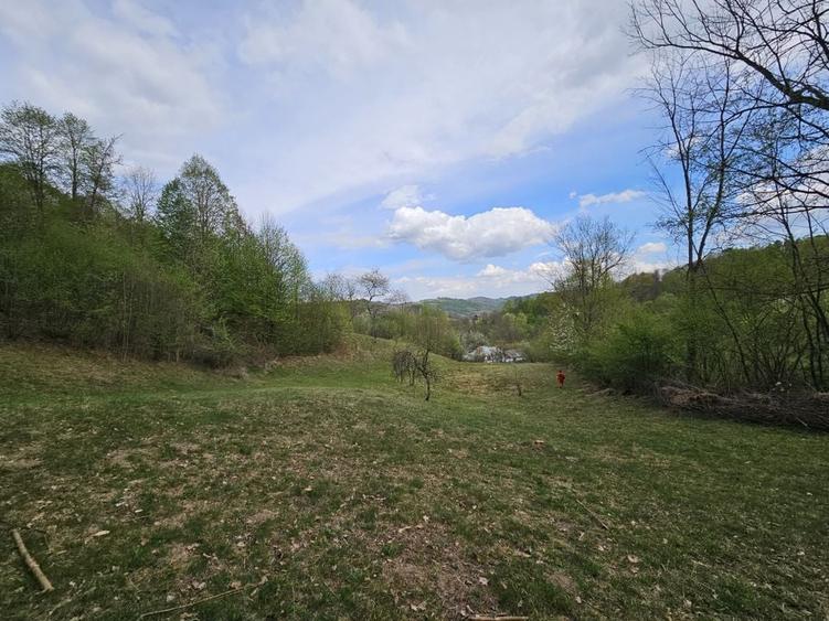 Teren intravilan 1454 mp la marginea padurii zona locuita de case! - 6