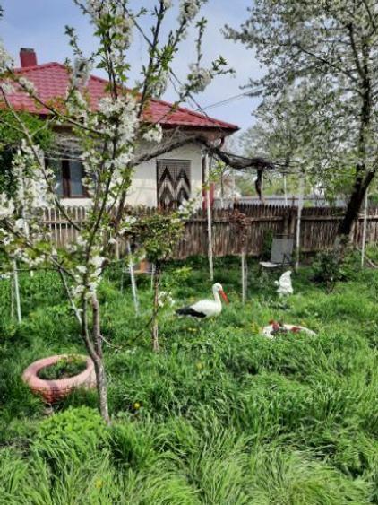 Vând casă  / curte  - 9