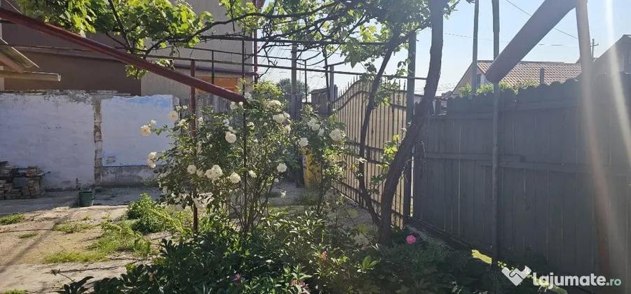 Viile noi , casa individuala - 3