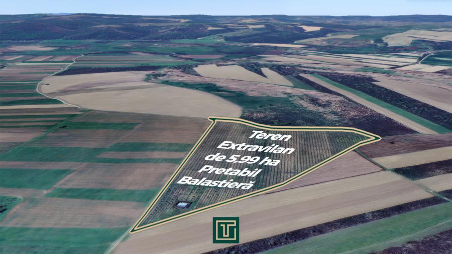 Teren extravilan de 5,99 ha la 200 m de Mureș, ideal pentru balastieră în Ususău - 4