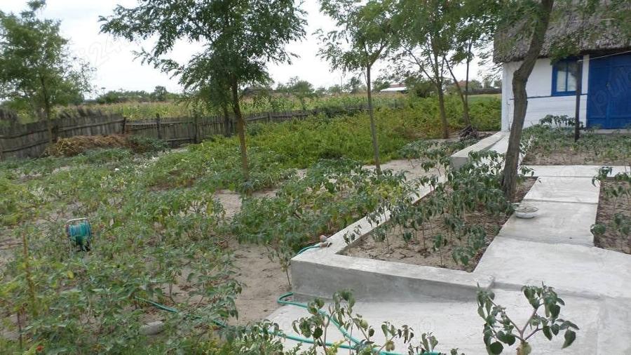 Delta Dunarii, Romania, localitatea LETEA, proprietate de VIS, - 2