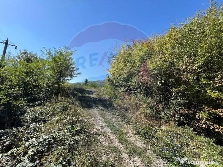 Teren intravilan Buru | ideal agrement, activita?i outdoor - 9