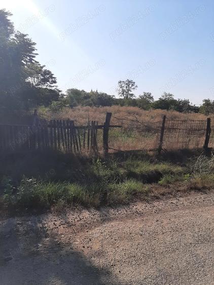 Teren Delta Dunarii - 4