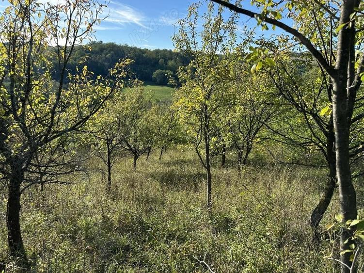 Teren intravilan in Fetindia - 1