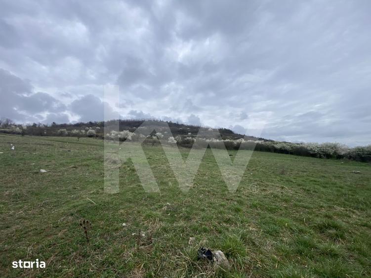 Teren de casa 587mp intravilan curti constructii acces privat Sibiu - 5