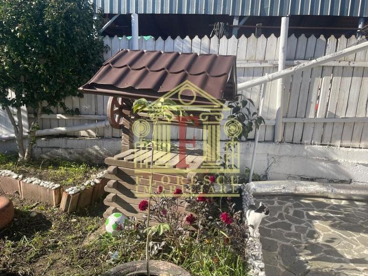 Duplex intreg, Tatarasi! - 13