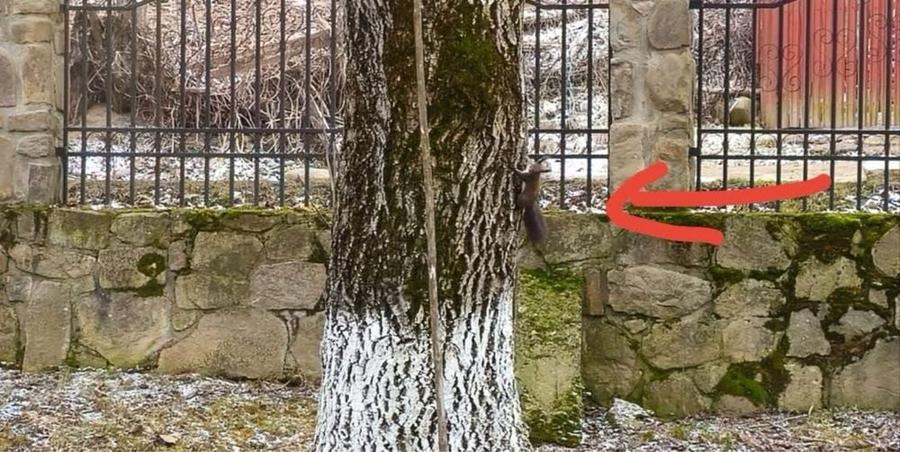 Casa cu etaj intr-un colt de natura la 5 KM de Piatra Neamt (P+1 4 camere) - 8