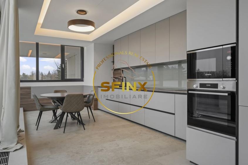 Kiseleff, 4 room penthouse to let, pet friendly, roof terrace, panoramic views - 5