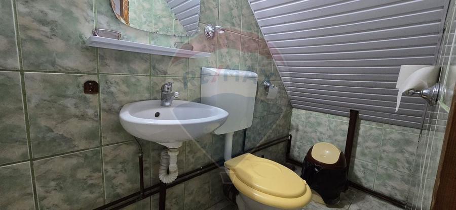 PENSIUNE IN CHISINEU CRIS - 14