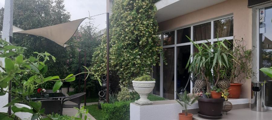 Pensiune in techirghiol - 11